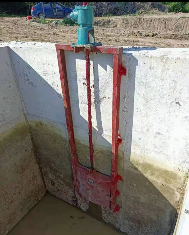 ���̰���